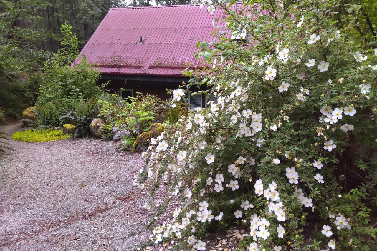 Moon Dance Cabin Villa Madeira Park Exterior foto